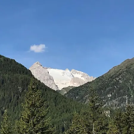 Cesa Ses Da Mont