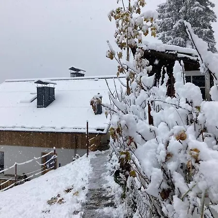 Cesa Ses Da Mont * Livinallongo Del Col Di Lana
